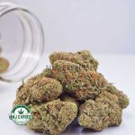 Buy Cannabis Cookies & Cream AAA at MMJ Express Online Shop