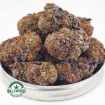 Buy Cannabis Purple Kush AAAA at MMJ Express Online Shop