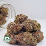 Buy Cannabis King Kong AAA at MMJ Express Online Shop