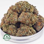 Buy Cannabis Skunk#1 AAA at MMJ Express Online Shop