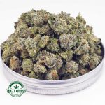 Buy Cannabis UK Cheese AAAA (Popcorn Nugs) at MMJ Express Online Shop