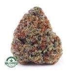 Buy Cannabis Red Congolese AA at MMJ Express Online Shop