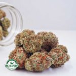 Buy Cannabis Red Congolese AA at MMJ Express Online Shop