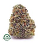 Buy Cannabis Diablo Death Bubba AAAA at MMJ Express Online Shop