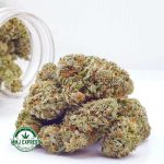 Buy Cannabis Diablo Death Bubba AAAA at MMJ Express Online Shop