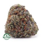 Buy Cannabis Granddaddy Purple AAAA at MMJ Express Online Shop