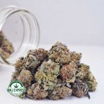 Buy Cannabis King Louis XIII AAAA (Popcorn Nugs) at MMJ Express Online Shop