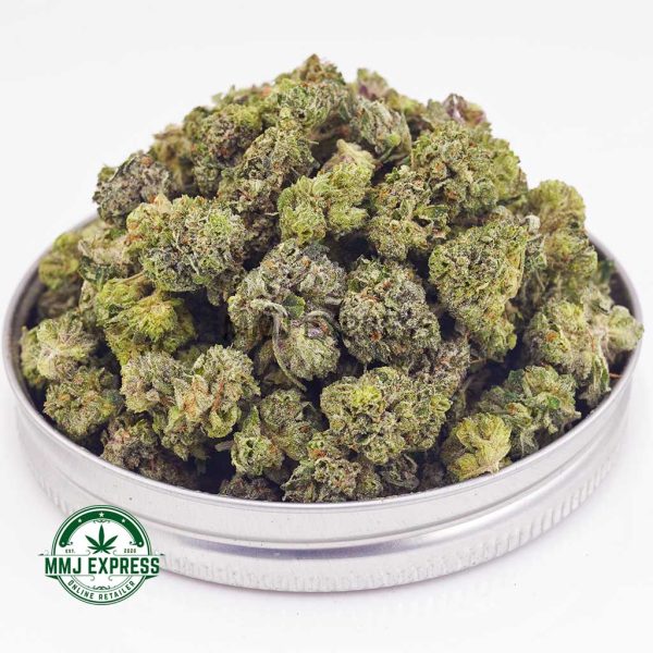 Buy Cannabis Blue Venom AAAA (Popcorn) at MMJ Express Online Shop