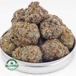 Buy Cannabis Purple Tropicana AAAA at MMJ Express Online Shop