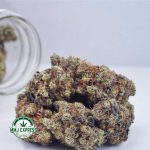 Buy Cannabis Skunk#1 AAA at MMJ Express Online Shop