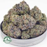 Buy Cannabis Pink Ice Cream Cake AAAA+, Craft at MMJ Express Online Shop