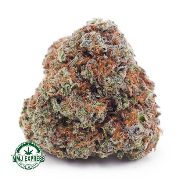 Buy Cannabis GMO Cookies AAA at MMJ Express Online Shop