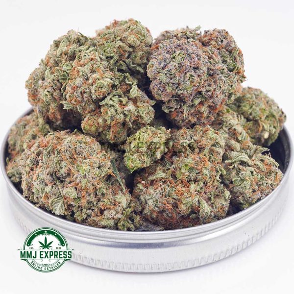 Buy Cannabis GMO Cookies AAA at MMJ Express Online Shop