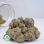 Buy Cannabis GMO Cookies AAA at MMJ Express Online Shop