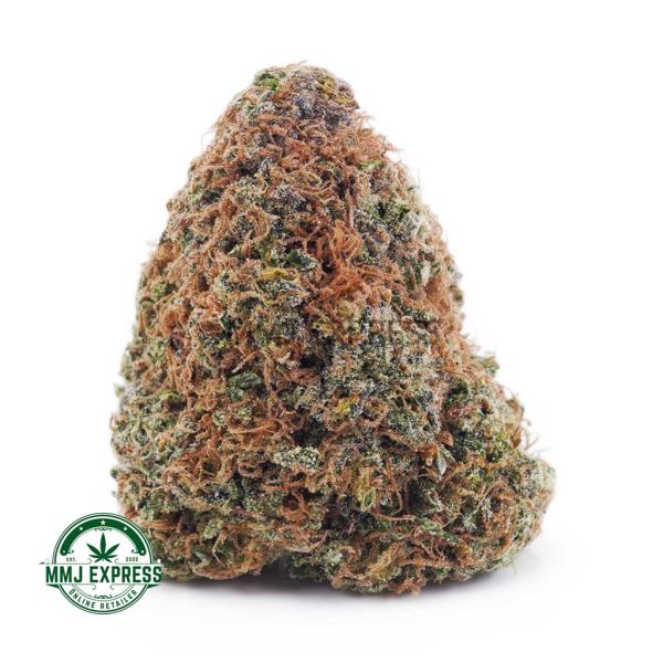 Buy Cannabis Astroboy AAA at MMJ Express Online Shop