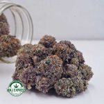 Buy Cannabis Cotton Candy Kush AAA at MMJ Express Online Shop