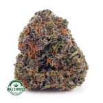 Buy Cannabis King's Kush AAAA at MMJ Express Online Shop