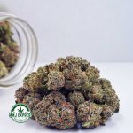 Buy Cannabis King's Kush AAAA at MMJ Express Online Shop