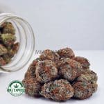 Buy Cannabis White Biscotti AAA at MMJ Express Online Shop