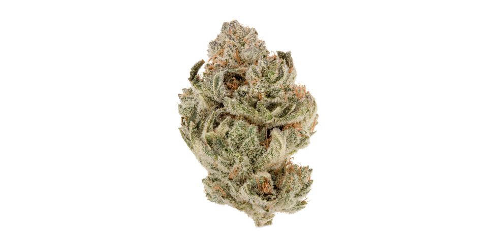 Romulan strain has a unique aroma that varies from time to time. Sometimes, it's described as cherry candy, and on other occasions, it contains hints of grape. 