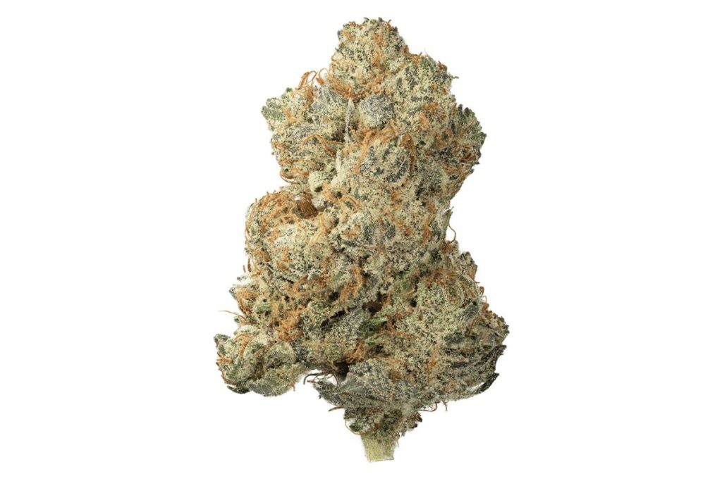 What is Lemon Skunk strain & its aroma & effects? Learn why this sativa-dominant hybrid is a top choice for cannabis enthusiasts across Canada.
