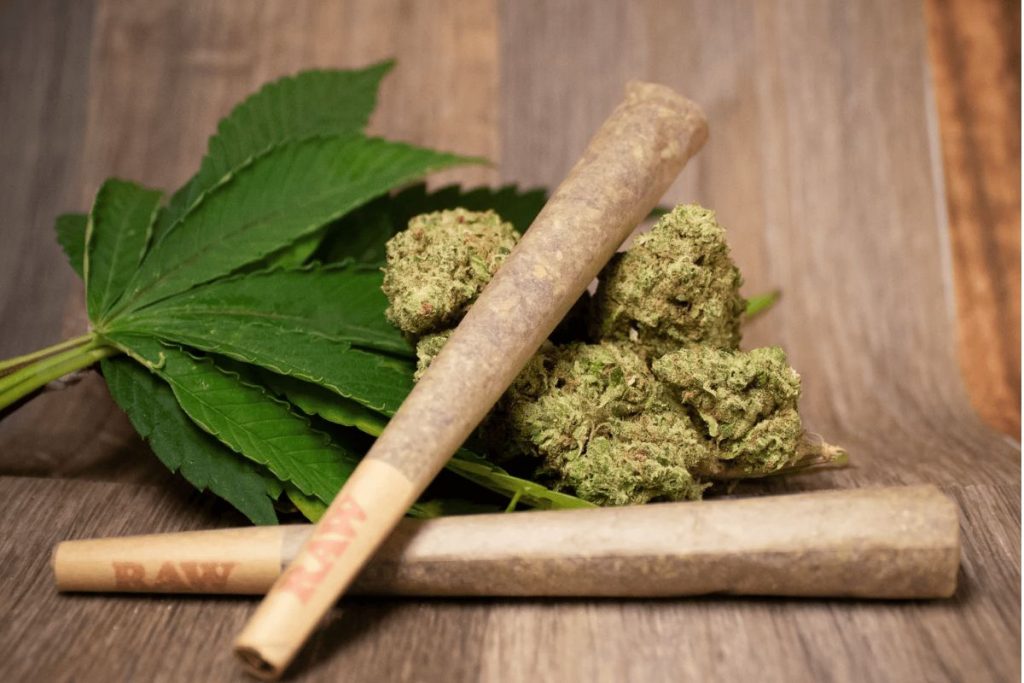 Looking for top online weed stores in Canada to buy cannabis online? Here’s a list of the 5 most trusted online weed dispensaries. Order pot online.