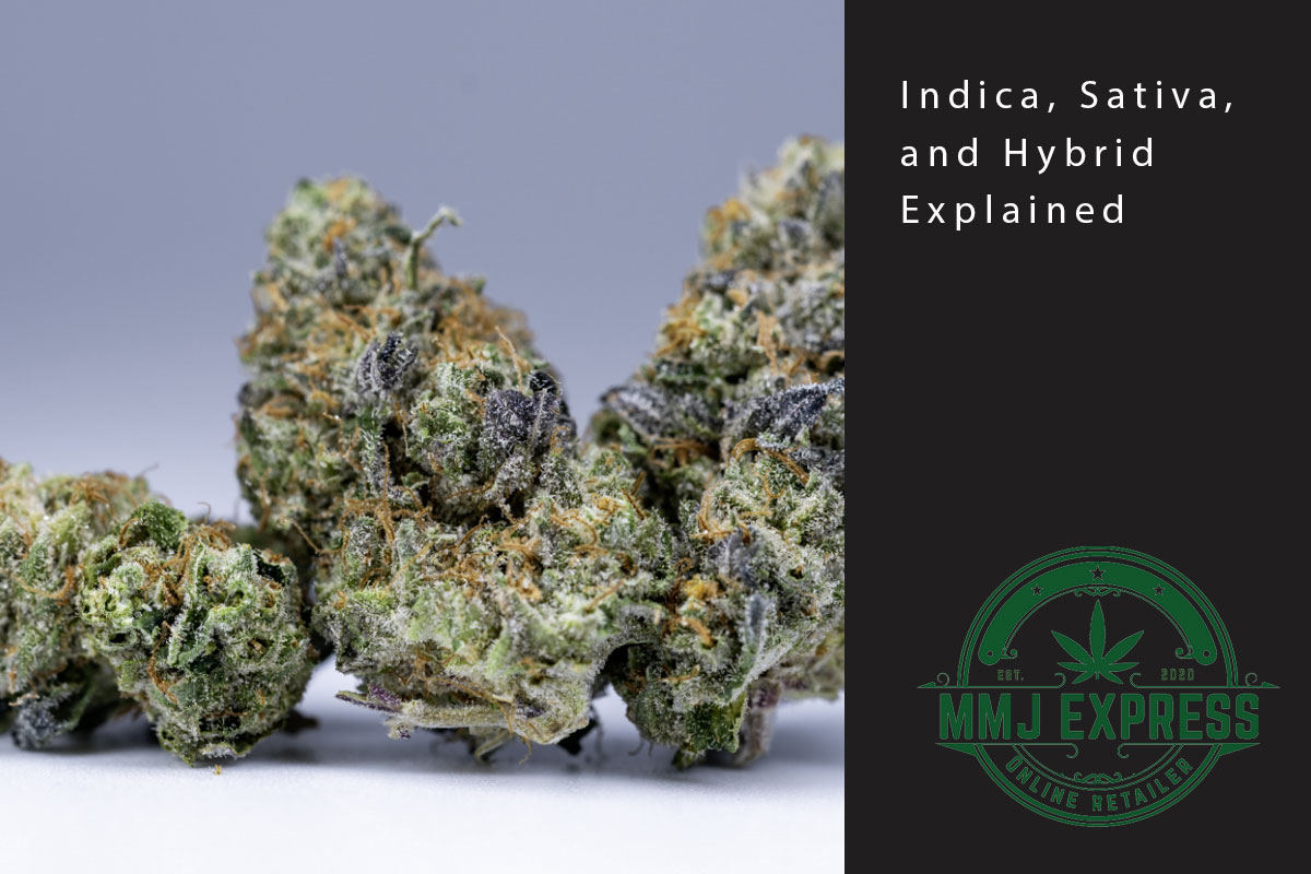 indica sativa hybrid