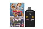 Buy Burn Extracts – Dual Chamber Disposable Vape – Peanut Butter Breath + Grape 6G at MMJ Express Online Shop