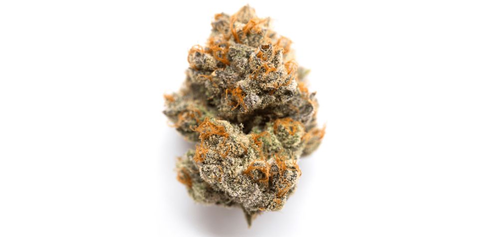 Romulan weed, also known as Strawberry Romulan strain, is an Indica dominant strain known for its potent effects due to its high THC levels. 