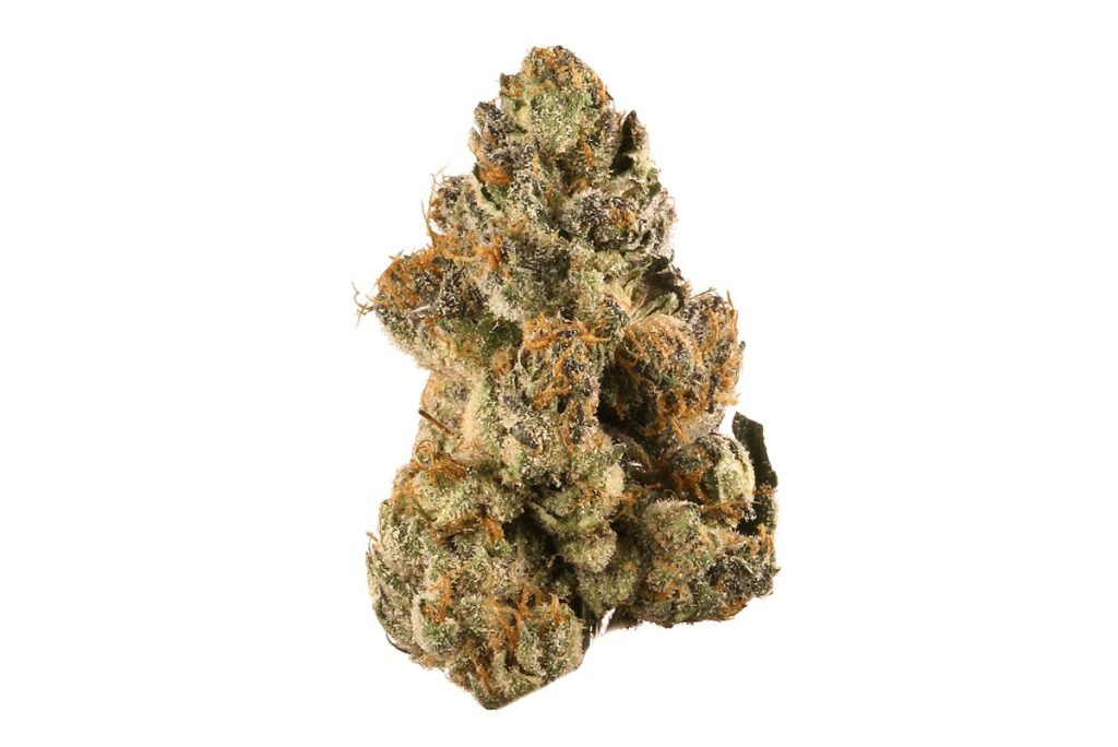 Ever heard of “one-hit wonder?” AK 47 strain is the cannabis version of it! Find out this guide & join world in celebrating wonders in cannabis space. 