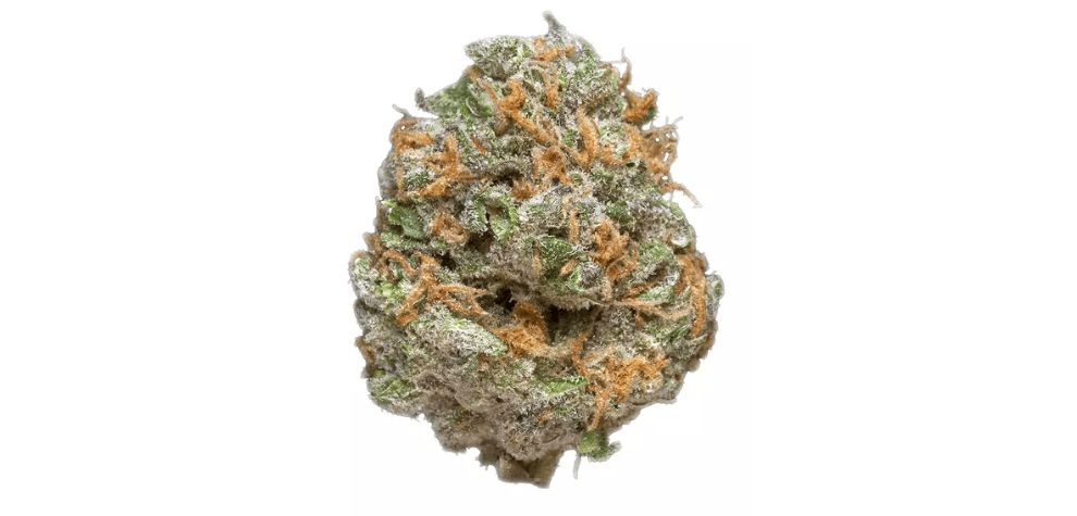 The AK 47 strain is known as the “one-hit wonder” for a reason. If you're not careful, the wonder will take you down. This strain can result in a series of adverse reactions, so you need to be cautious. 