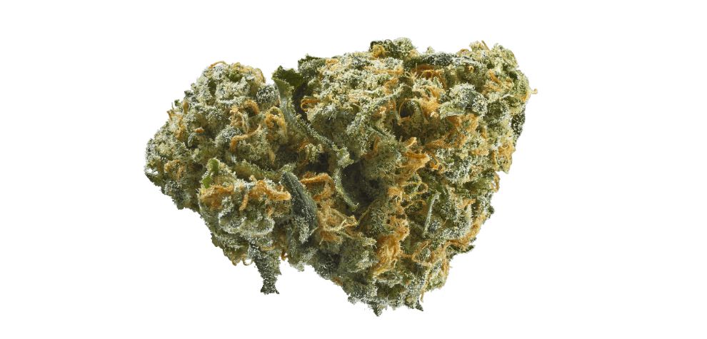 If you are looking for intense buds, buy Indica online. However, if you are a beginner or a moderate user craving a milder high, you may also want to get an Indica. 