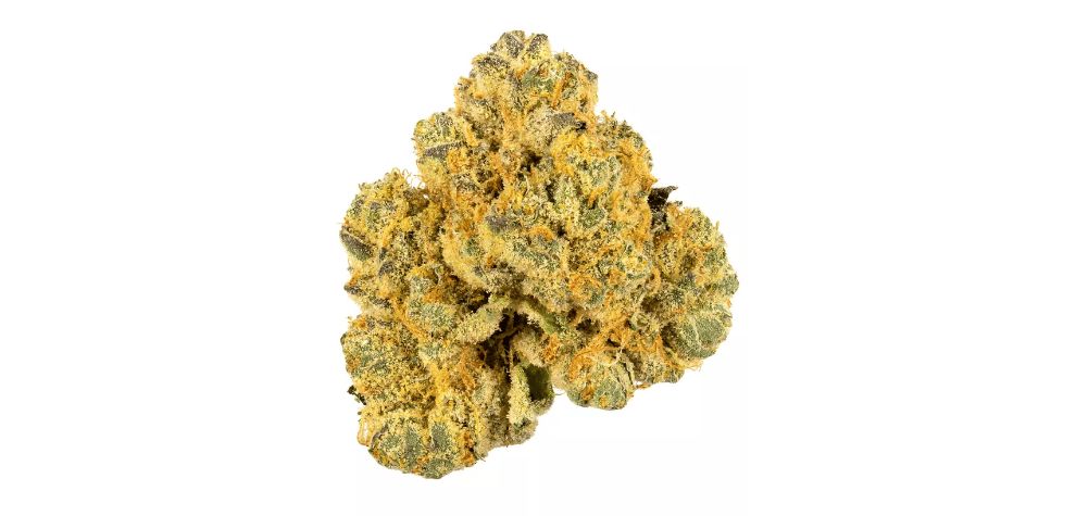 This strain tantalizes the senses with a unique blend of sweet and earthy notes that set it apart from other cannabis strains.