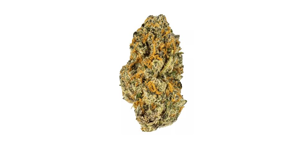 Black Cherry Punch is a relatively new hybrid strain that has quickly captivated cannabis enthusiasts.