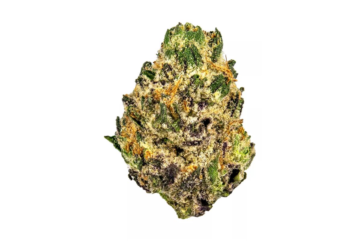 What's the Black Cherry Punch strain? Discover its appearance, effects, flavours, terpenes, & where to buy weed online in this ultimate strain review.