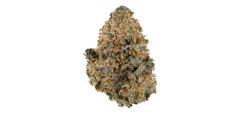 Looking to enjoy the original version of the AK 47 strain, among other weed products? Reach out today at our online dispensary and lay your hands on premium stash without breaking the bank and wasting time. 