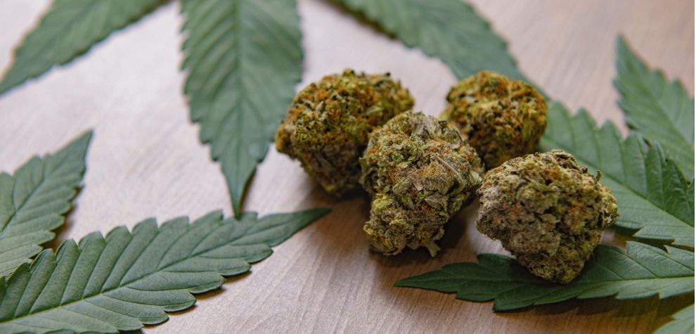 The sheer number of options you get when you buy cannabis online may make the process feel overwhelming. So, here are some tips for when you buy indica weed online for the first time: