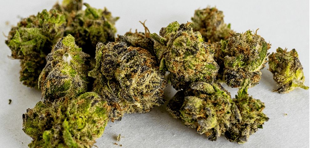 Buy Indica online from MMJ Express and smoke the finest herbs for the most competitive price in Canada. Don't hesitate and browse through our endless collection of lab-tested weed!