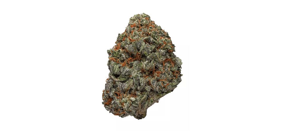 As you've learned, the Mendo Breath strain is an exceptional BC bud that offers a unique blend of effects and flavours.