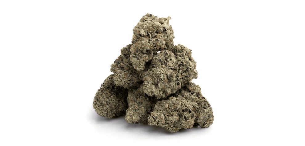 Mike Tyson weed is definitely worth a try if you love heavily relaxing indicas. You can now buy the premium Mike Tyson strain at our online weed dispensary in Canada, and we will ship it to your doorstep anywhere in the country.