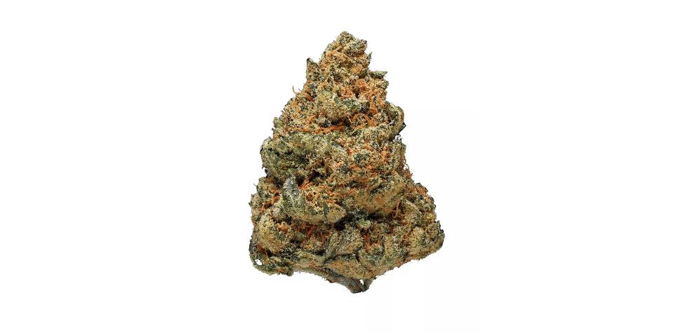 At MMJExpress, online weed dispensary, we are committed to providing premium cannabis products that meet the highest potency, purity, and safety standards.