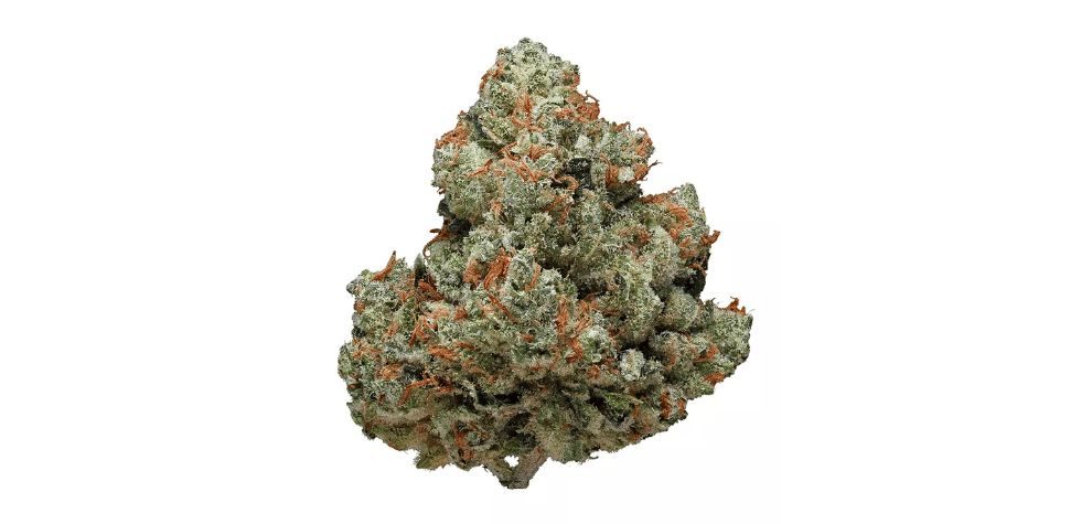 This strain has been crossed with other cultivars to create award-winning strains such as the Sour Diesel. 