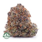 Buy Cannabis Rainbow Sherbet AAAA at MMJ Express Online Shop