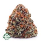 Buy Cannabis Papaya Punch AA at MMJ Express Online Shop