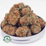 Buy Cannabis Papaya Punch AA at MMJ Express Online Shop