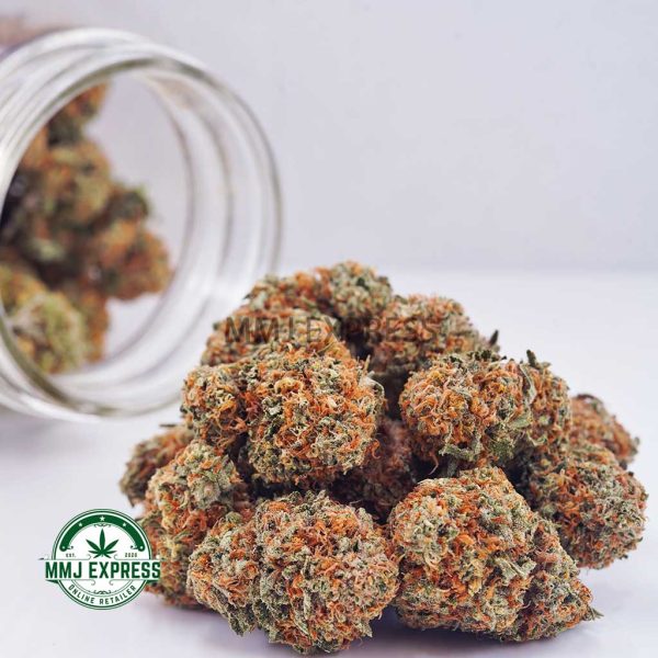 Buy Cannabis Papaya Punch AA at MMJ Express Online Shop