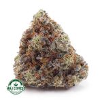 Buy Cannabis White Rhino AAA at MMJ Express Online Shop