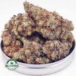 Buy Cannabis White Rhino AAA at MMJ Express Online Shop