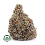 Buy Cannabis Island Maui Haze AA at MMJ Express Online Shop