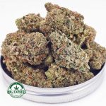 Buy Cannabis Island Maui Haze AA at MMJ Express Online Shop